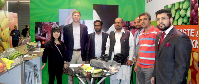 Sindh Seeks Centre's Approval for two Projects